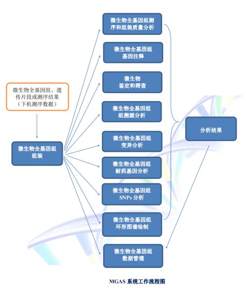 聚焦傳染病防控,碩世邀您共襄第14屆傳染病防控基礎(chǔ)研究與技術(shù)應(yīng)用學(xué)術(shù)交流會